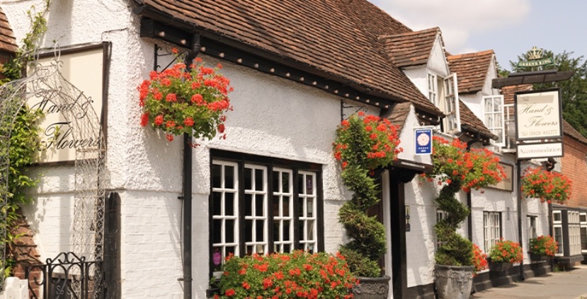 Exterior of the Hand and Flowers